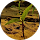 CHARVI H Avatar