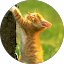 krithick ts Avatar