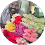 Bujji Eben Avatar