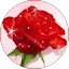 Suresh madasamy Avatar